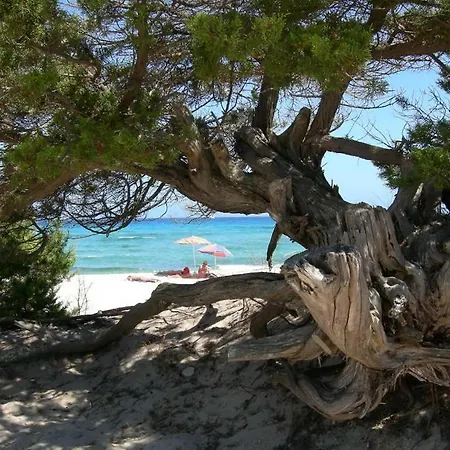 Stunning Bouganvillage 1 Bed Sleep 4