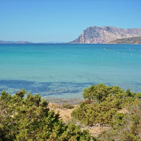 Apartment Stunning Bouganvillage 1 Bed Sleep 4 Tanaunella